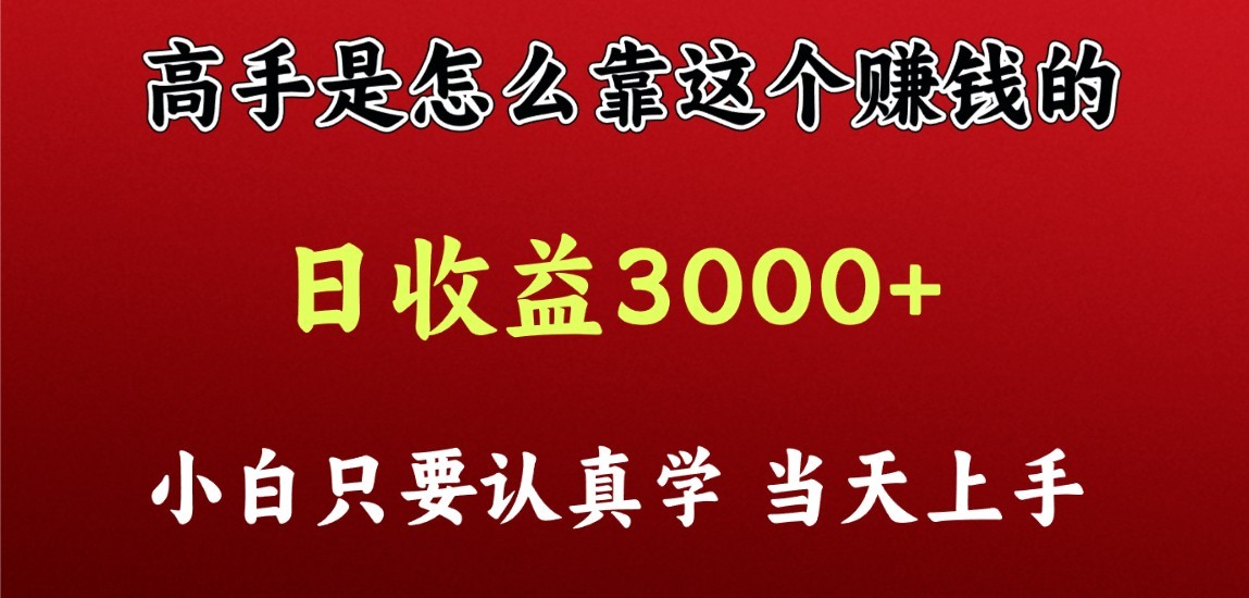 看高手是怎么赚钱的，一天收益至少3000 以上，小白当天上手-臭虾米项目网