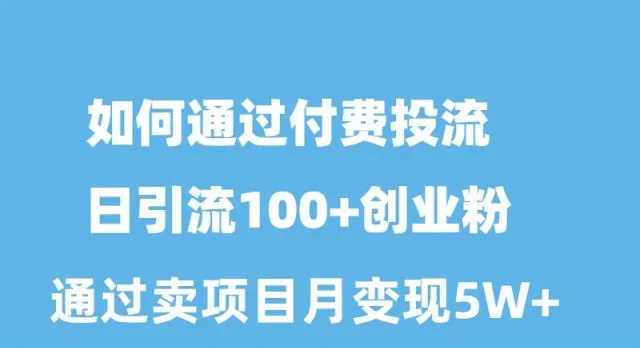 图片[1]-如何通过付费投流日引流100 创业粉月变现5W-臭虾米项目网