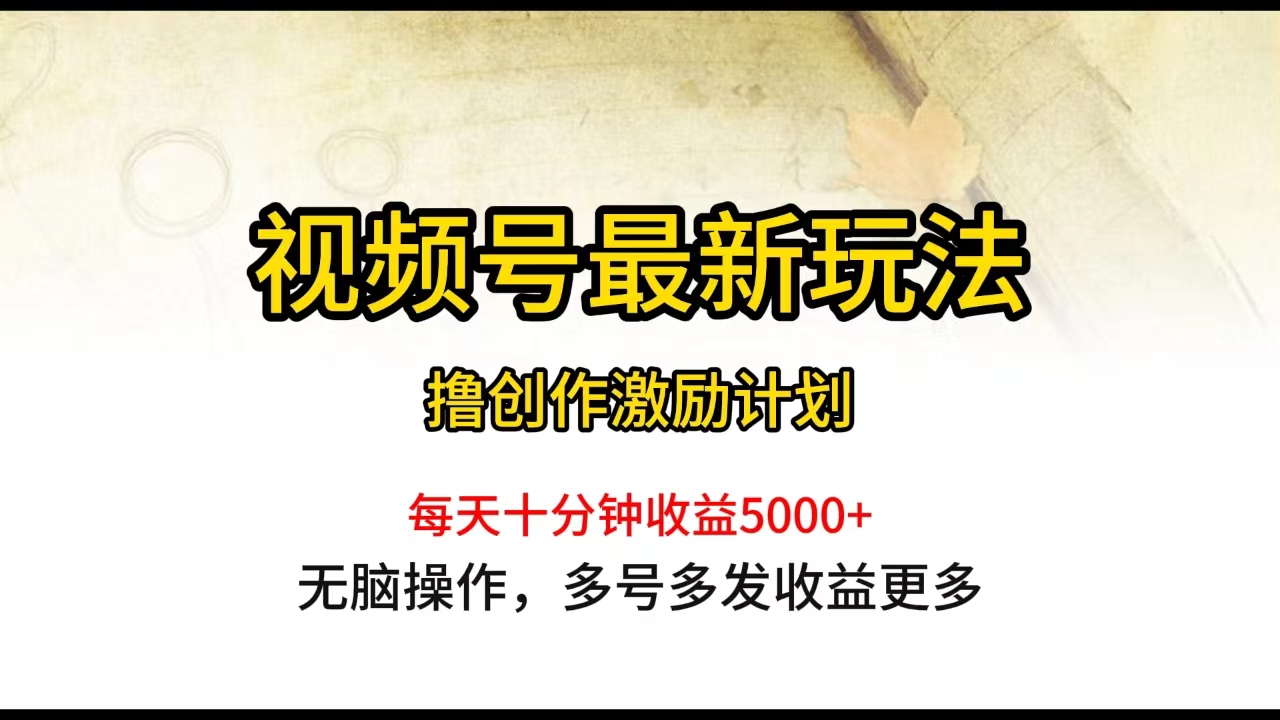 视频号最新玩法，每日一小时月入5000-臭虾米项目网