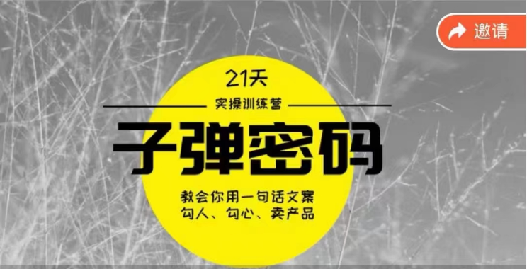 《子弹密码训练营》用一句话文案勾人勾心卖产品，21天学到顶尖文案大师策略和技巧-臭虾米项目网