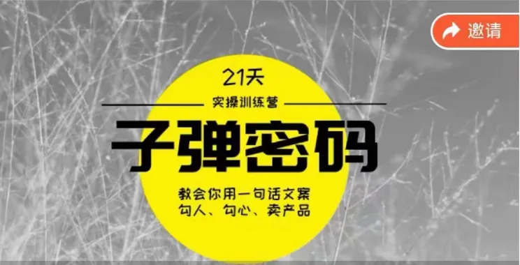 图片[1]-《子弹密码训练营》用一句话文案勾人勾心卖产品，21天学到顶尖文案大师策略和技巧-臭虾米项目网