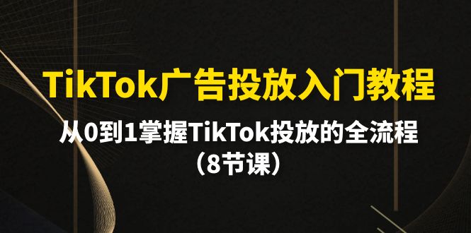 TikTok广告投放入门教程，从0到1掌握TikTok投放的全流程（8节课）-臭虾米项目网