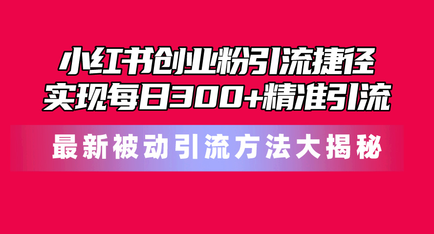 小红书创业粉引流捷径！最新被动引流方法大揭秘，实现每日300 精准引流-臭虾米项目网