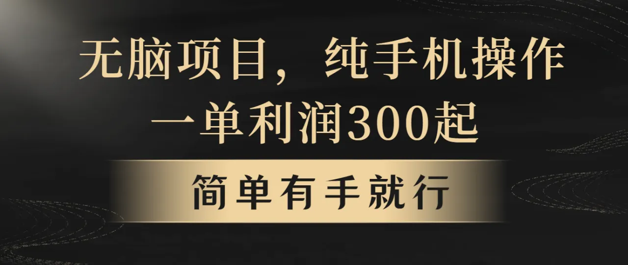 无脑项目，一单几百块，轻松月入5w ，看完就能直接操作