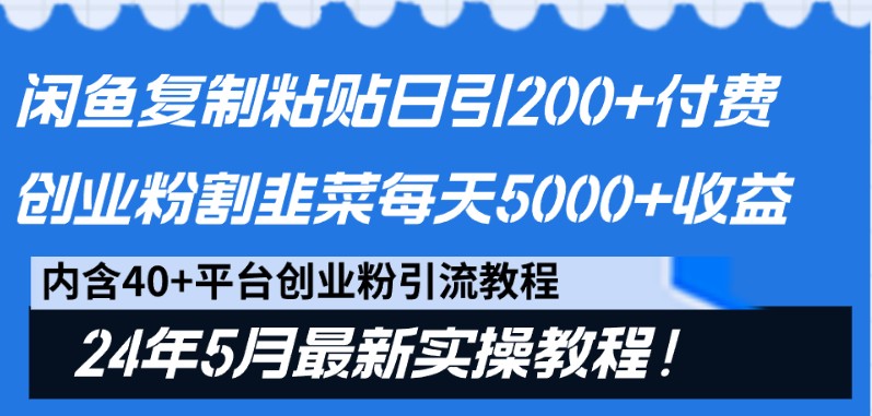 闲鱼复制粘贴日引200 付费创业粉，24年5月最新方法！割韭菜日稳定5000 收益-臭虾米项目网