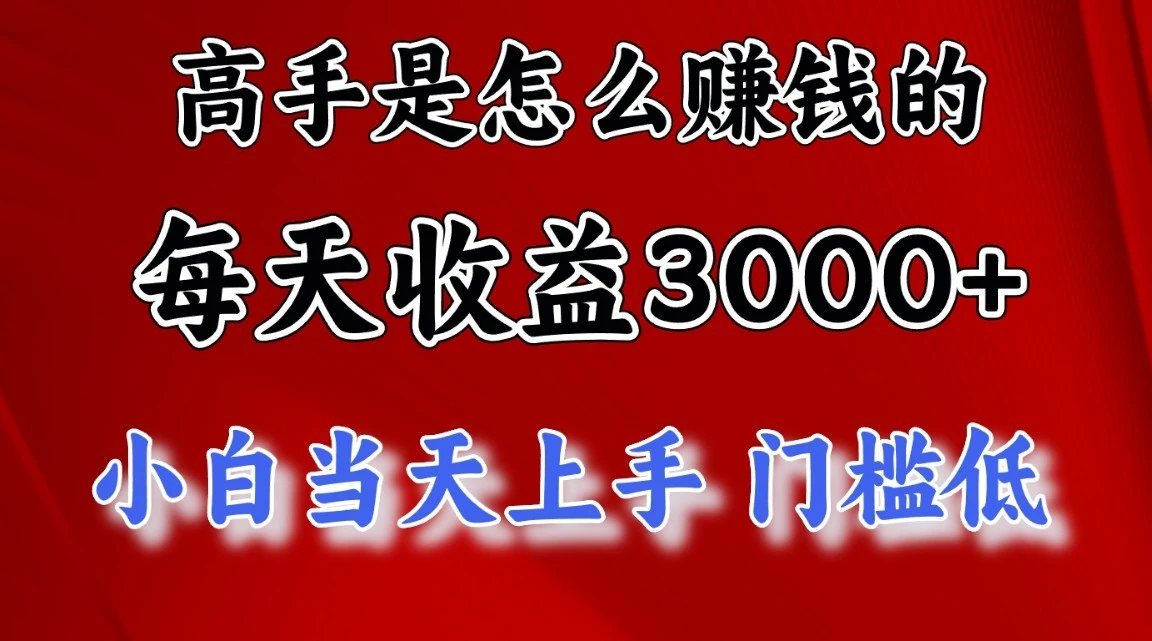 高手是怎么赚钱的，一天收益3000 ，闷声发财项目，不是一般人能看懂的