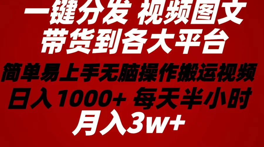 2024年一键分发带货图文视频简单易上手无脑赚收益每天半小时日入1...