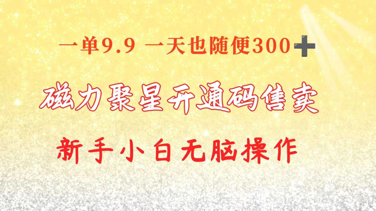 快手磁力聚星码信息差售卖一单卖9.9一天也轻松300 新手小白无脑操作-臭虾米项目网