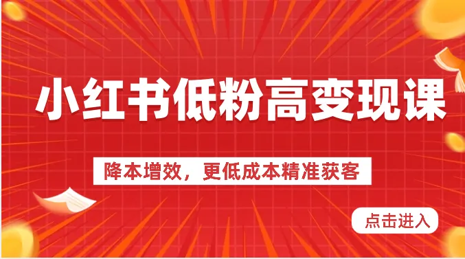 小红书低粉高变现课降本增效，更低成本精准获客，小红书必爆的流量密码