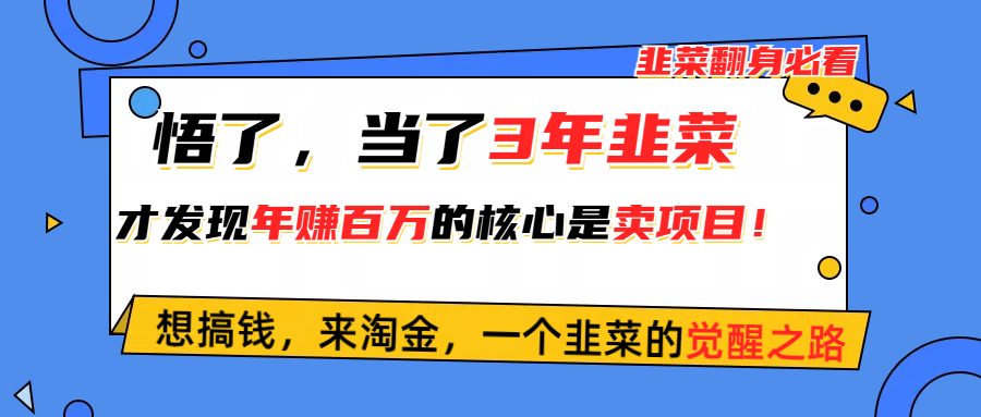 悟了，当了3年韭菜，才发现网赚圈年赚100万的核心是卖项目，含泪分享！-臭虾米项目网