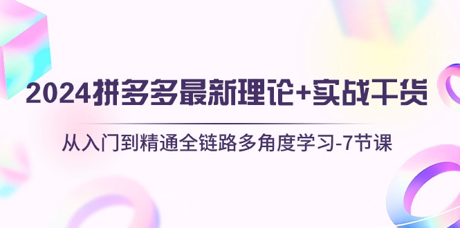 2024拼多多最新理论 实战干货，从入门到精通全链路多角度学习7节课-臭虾米项目网