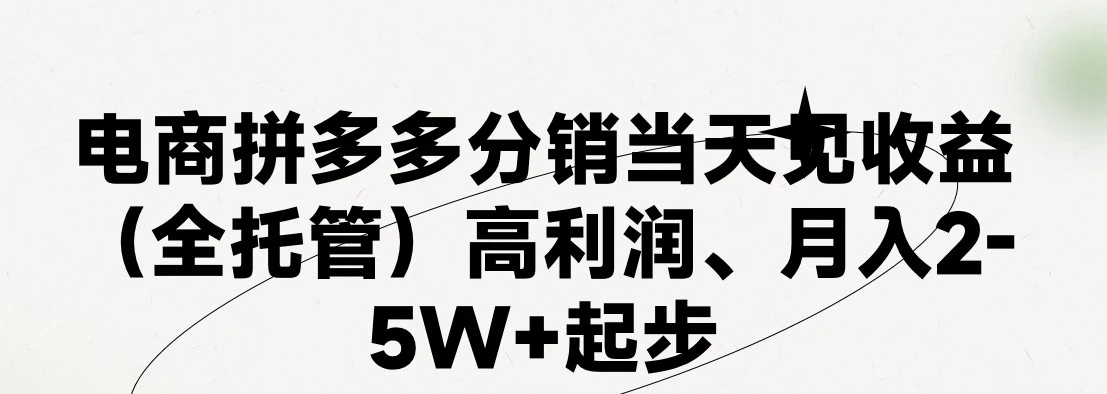 从小白到拼多多大卖家：优质项目揭秘及运营技巧