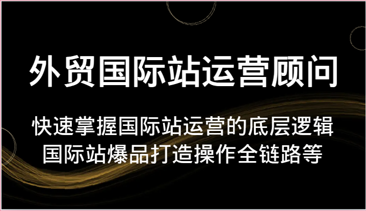 外贸国际站运营顾问快速掌握国际站运营的底层逻辑，国际站爆品打造操作全链路等-臭虾米项目网