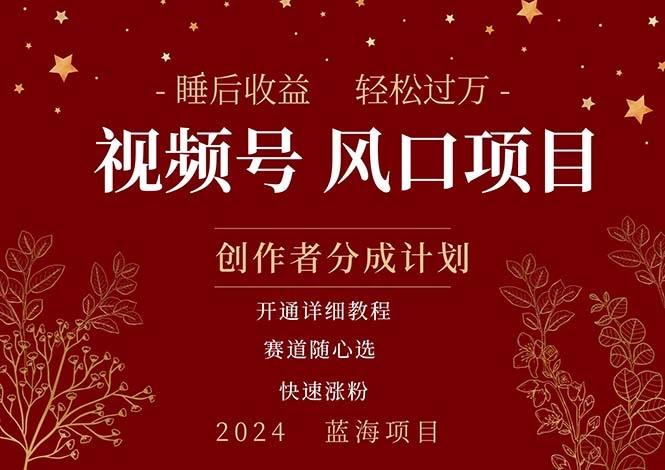 如何利用微信视频号实现自动化收益：简单上手的多赛道选择指南