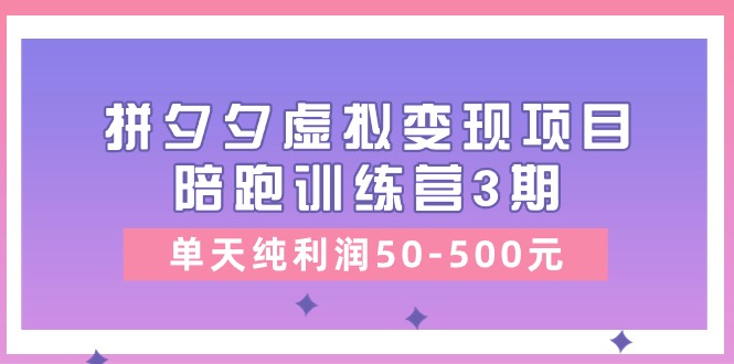 某收费培训《拼夕夕虚拟变现项目陪跑训练营3期》单天纯利润50500元-臭虾米项目网