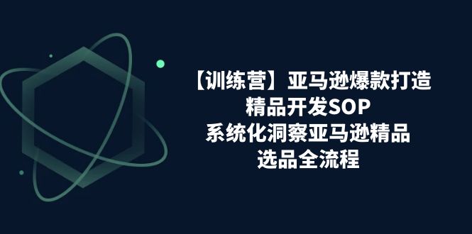 【训练营】亚马逊爆款打造之精品开发SOP，系统化洞察亚马逊精品选品全流程-臭虾米项目网