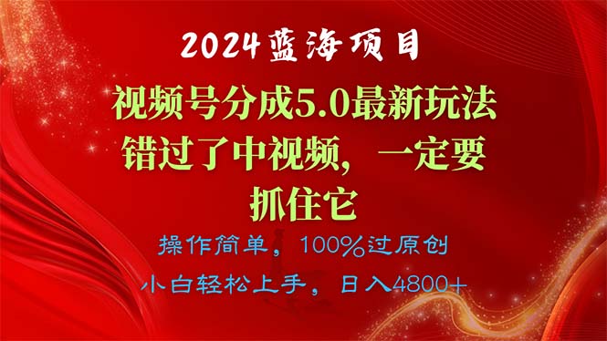 2024蓝海项目，视频号分成计划5.0最新玩法，错过了中视频，一定要抓住…-臭虾米项目网