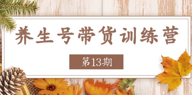 养生号带货训练营【第13期】收益更稳定的玩法，让你带货收益爆炸-臭虾米项目网