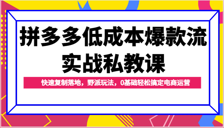 拼多多低成本爆款流实战私教课，快速复制落地，野派玩法，0基础轻松搞定电商运营-臭虾米项目网