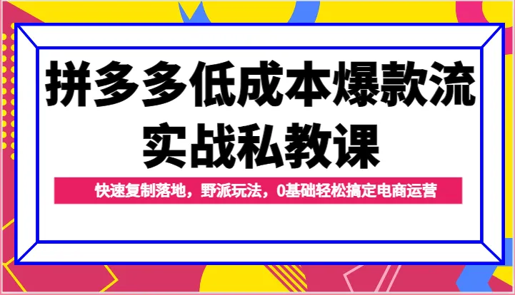 掌握拼多多电商运营：低成本爆款打造技巧大揭秘