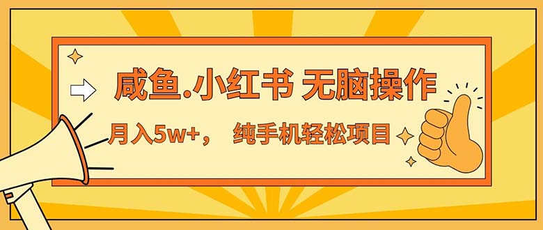 2024最赚钱的项目，咸鱼，小红书无脑操作，每单利润500 ，轻松月入5万 …-臭虾米项目网