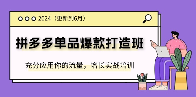 2024拼多多单品爆款打造班，充分应用你的流量，增长实战培训(更新6月)-臭虾米项目网