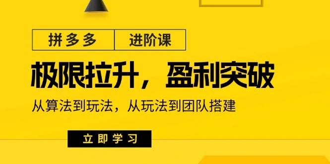 拼多多进阶策略：从算法优化到团队搭建的全面指南