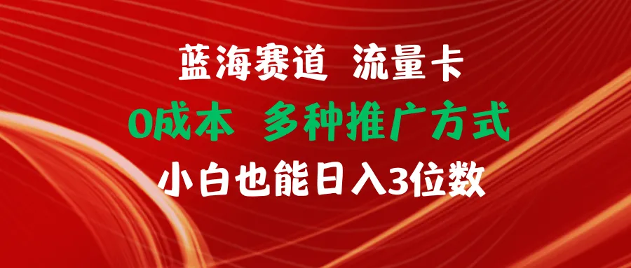 轻松上手：蓝海赛道流量卡项目详细攻略