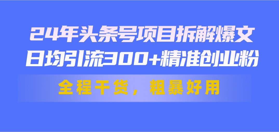 24年头条号项目拆解爆文，日均引流300 精准创业粉，全程干货，粗暴好用-臭虾米项目网