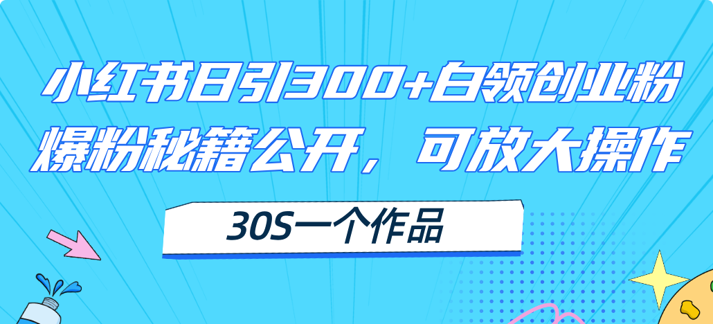 小红书日引300 高质白领创业粉，可放大操作，爆粉秘籍！30s一个作品-臭虾米项目网