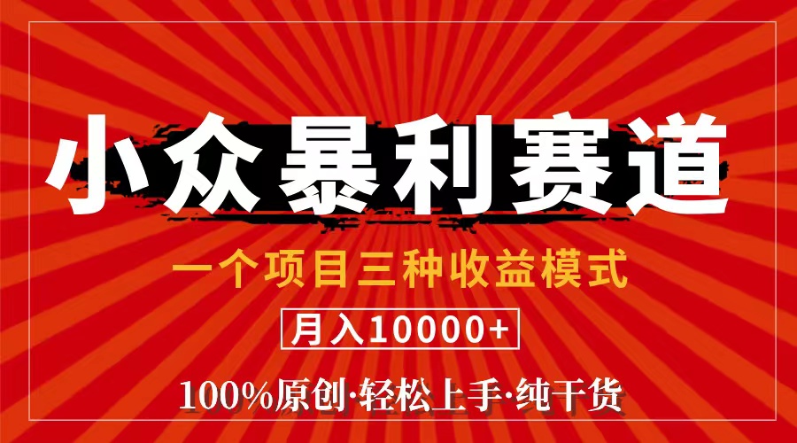 视频号【中老年粉深信不疑】小众赛道100%原创手把手教学新号3天收益…-臭虾米项目网