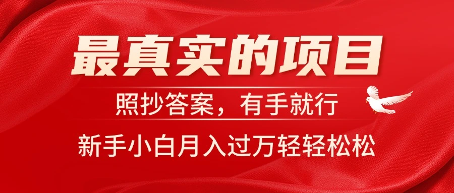 最实用的新手电商项目指南，轻松实现高效盈利